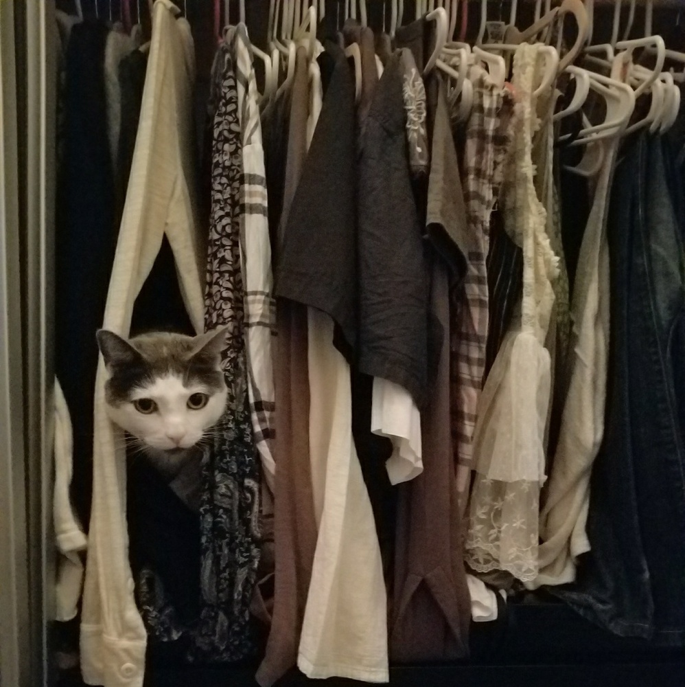 Meet your Posher, Lisa